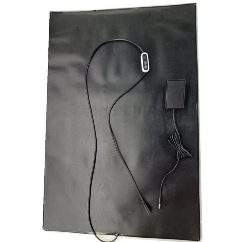 PVC Pet Heat Mat 12V Heating Pad 60x40cm With Temperature Controller For Dog Cat