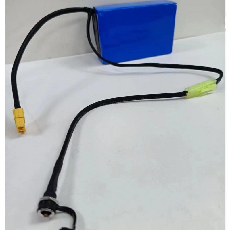 Custom Battery Pack 10S1P 18650 Cell 36V 2.6Ah With XT60 Discharge Plug