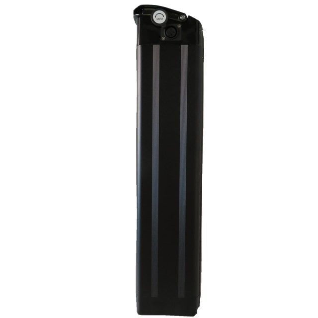 48V 20Ah Silver Fish Style Ebike Battery Pack with 13S8P 104pcs Cells 515mm Length