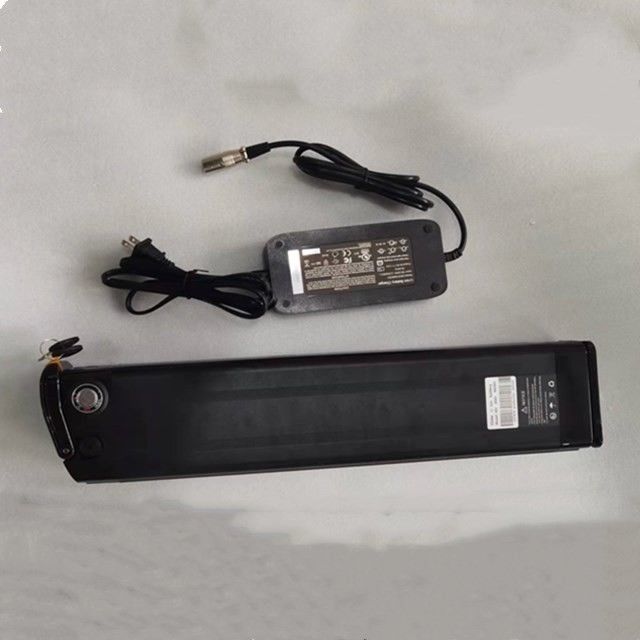 Silver Fish Lithium Battery 48V 25Ah Length 630mm with charger For E Bike