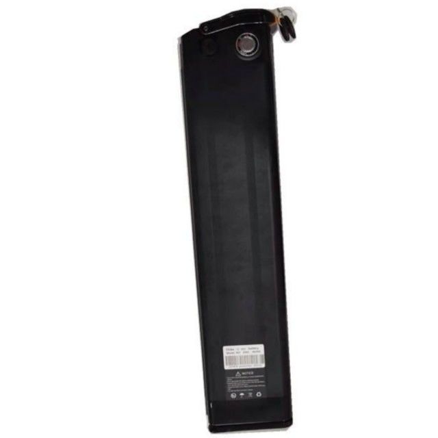 Silver Fish Lithium Battery 48V 25Ah Length 630mm with charger For E Bike