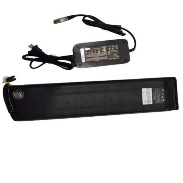 Silver Fish Lithium Battery 48V 25Ah Length 630mm with charger For E Bike
