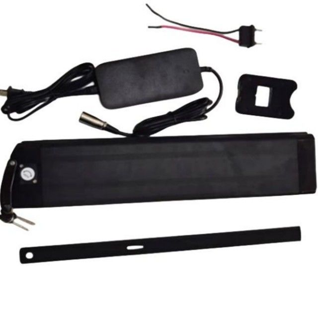 Silver Fish Lithium Battery 48V 25Ah Length 630mm with charger For E Bike